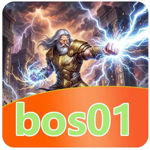 Performa bos01